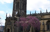 Manchester Cathedral