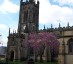 Manchester Cathedral