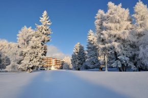 Le Grand Hotel du Golf & Palace