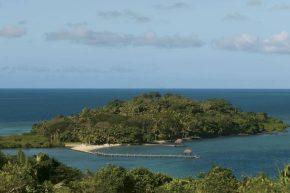 Dolphin Island Fiji