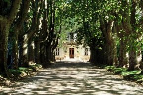 Le Château des Alpilles