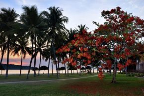 Pelangi Beach Resort & Spa, Langkawi
